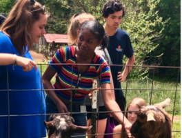It’s National Veterinary Technician Week: Meet Our Newest Program