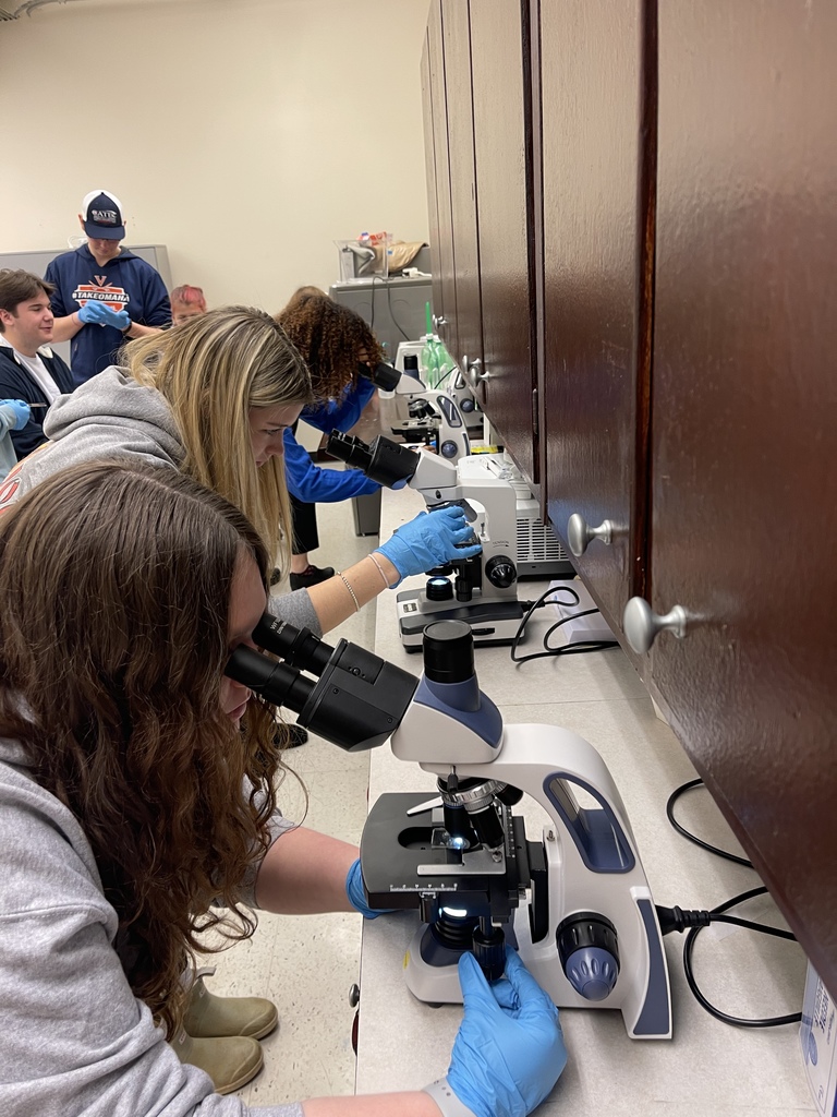 Veterinary Science